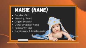 MAIGSI Meaning in English .